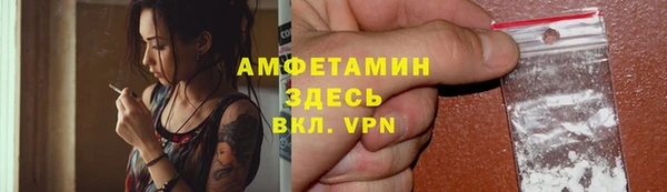 индика Дмитров