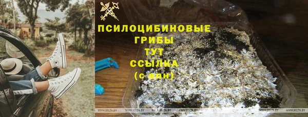 ALPHA PVP Горняк