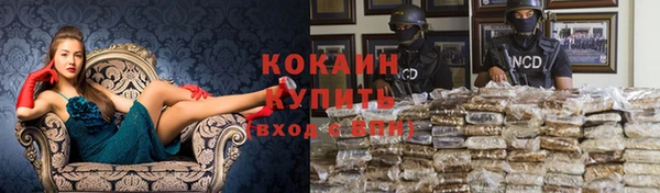 ALPHA PVP Горняк